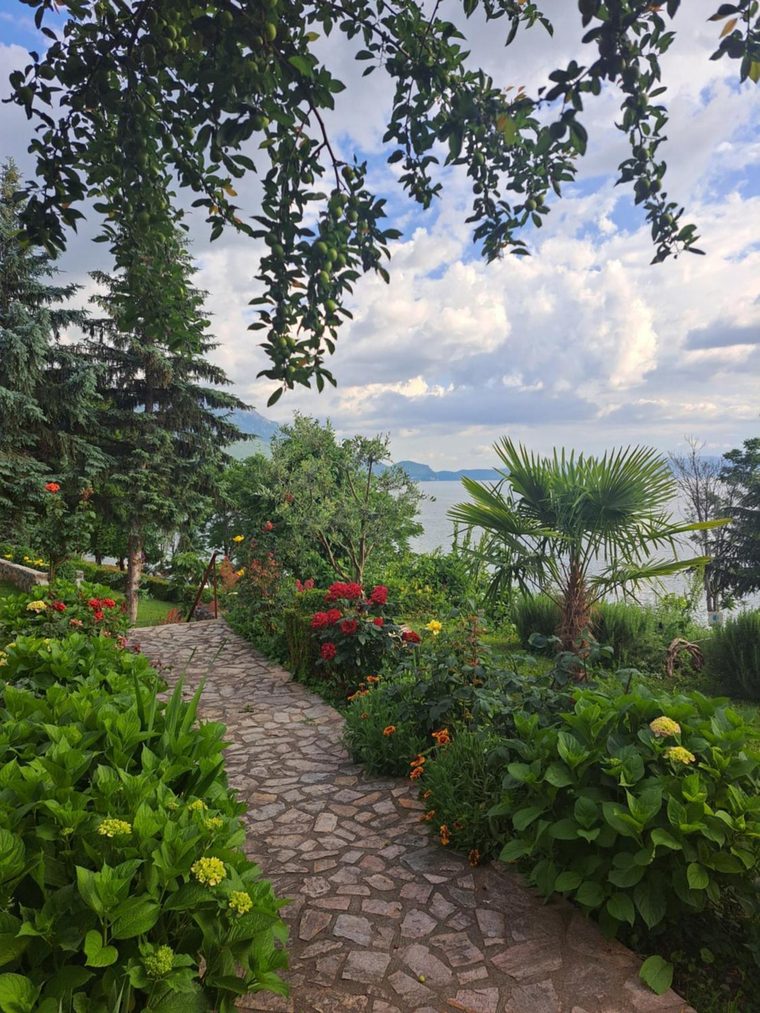 Villa Pavlina Ohrid Exterior photo