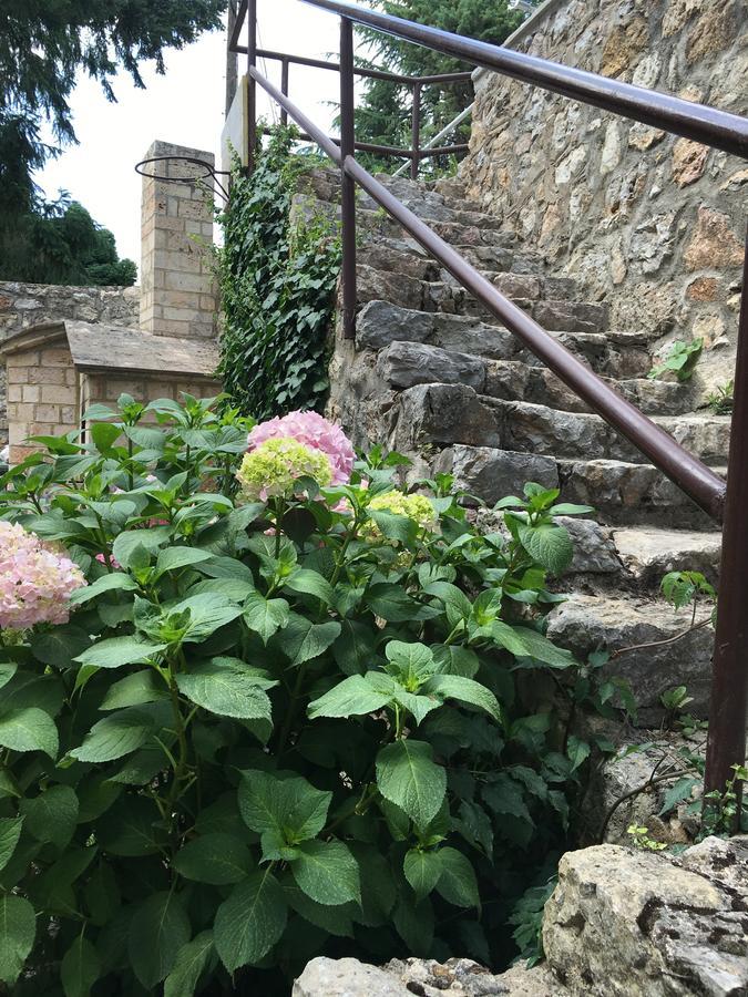 Villa Pavlina Ohrid Exterior photo